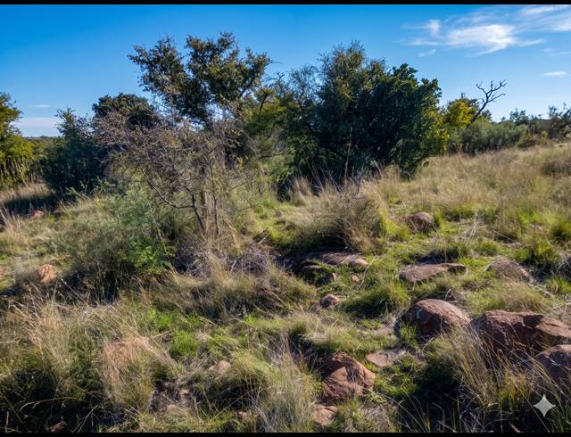 24,775M² VACANT LAND FOR SALE IN KOPPIES RURAL